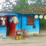 IMG01289.jpg