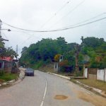 IMG01309.jpg