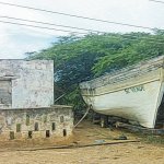 IMG01616.jpg