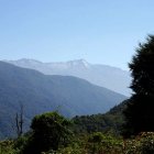 DSC_4088.JPG