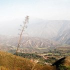 DSC_4180.JPG