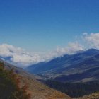 DSC_4210.JPG
