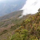 DSC_4295.JPG