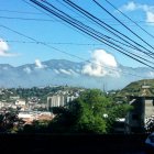 IMG03024.jpg