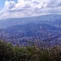 IMAG0885.jpg