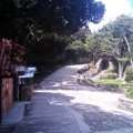 IMAG0891.jpg