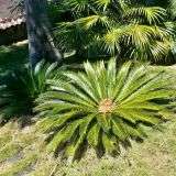 20130212_122733.jpg