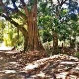 20130212_123348.jpg