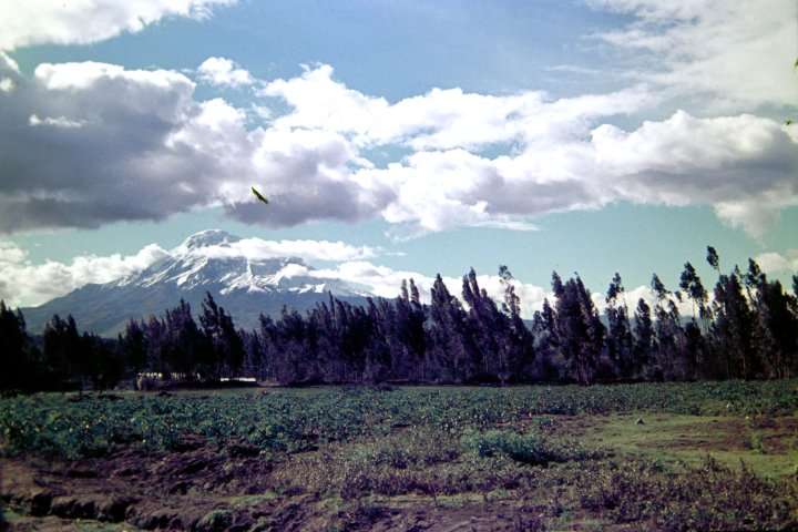 021-ADSC_3296.JPG.medium.jpeg