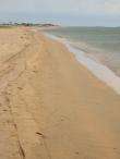 img010.jpeg.small.jpeg