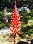img011.jpeg.small.jpeg