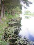 img013.jpeg.small.jpeg