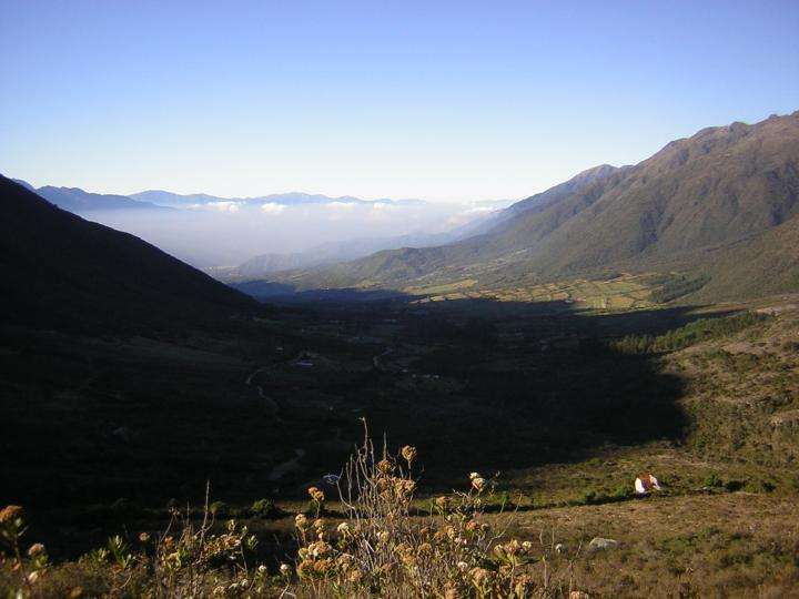 img017.jpeg.medium.jpeg