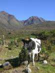 img021.jpeg.small.jpeg