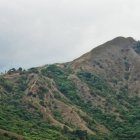 DSC_1646.JPG