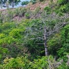DSC_1704.JPG