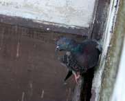 img010.jpeg.small.jpeg